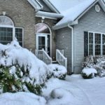 Winter pests will try to enter homes in Des Moines Iowa - Springer Professional Home Services