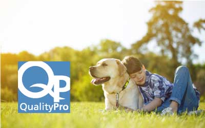 QualityPro certified pest control at Springer Professional Home Services in Des Moines, Iowa