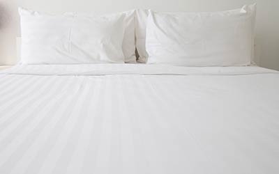 Bed bug treatment options at Springer Professional Home Services in Des Moines, Iowa
