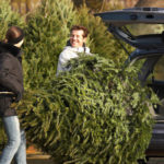 Shake out your Christmas tree before bringing it into your Des Moines IA home - Springer Professional Home Services