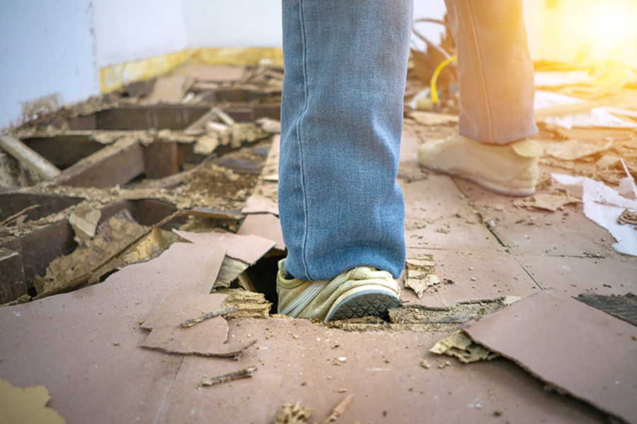 How much damage can termites cause in Iowa - Springer Professional Home Services
