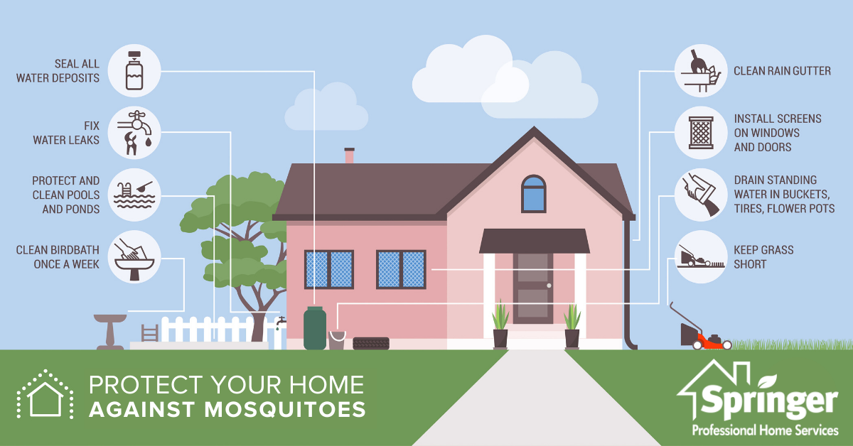 Mosquito prevention infographic in Des Moines Iowa - Springer Professional Home Services