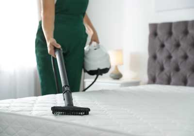 DIY bed bug treatments | Des Moines IA | Springer Professional Home Services