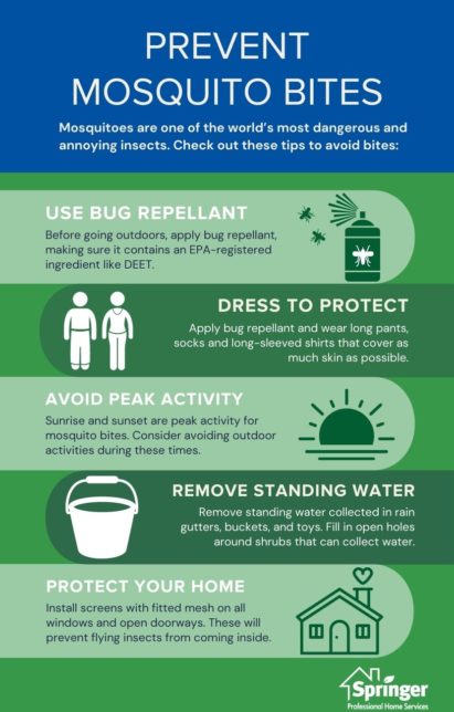 How to prevent mosquitoes in Central Iowa - Springer Professional Home Services