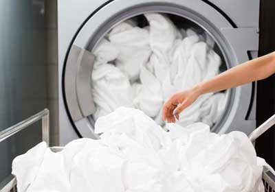 Does washing clothing and bedding in hot water kill bugs? | Des Moines IA | Springer Professional Home Services